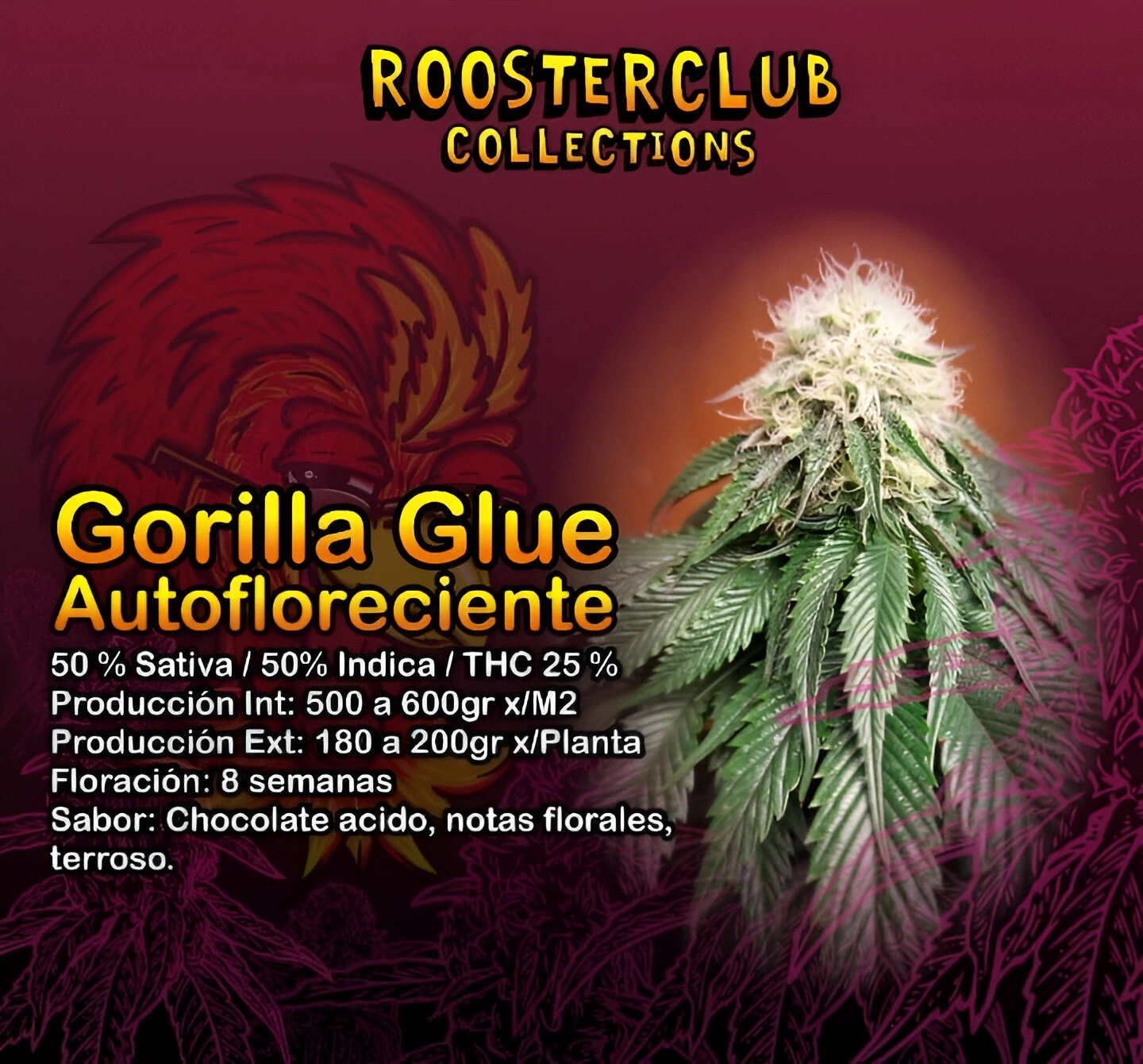 GORILLA GLUE X 3 AUTOMATICA ROOSTER