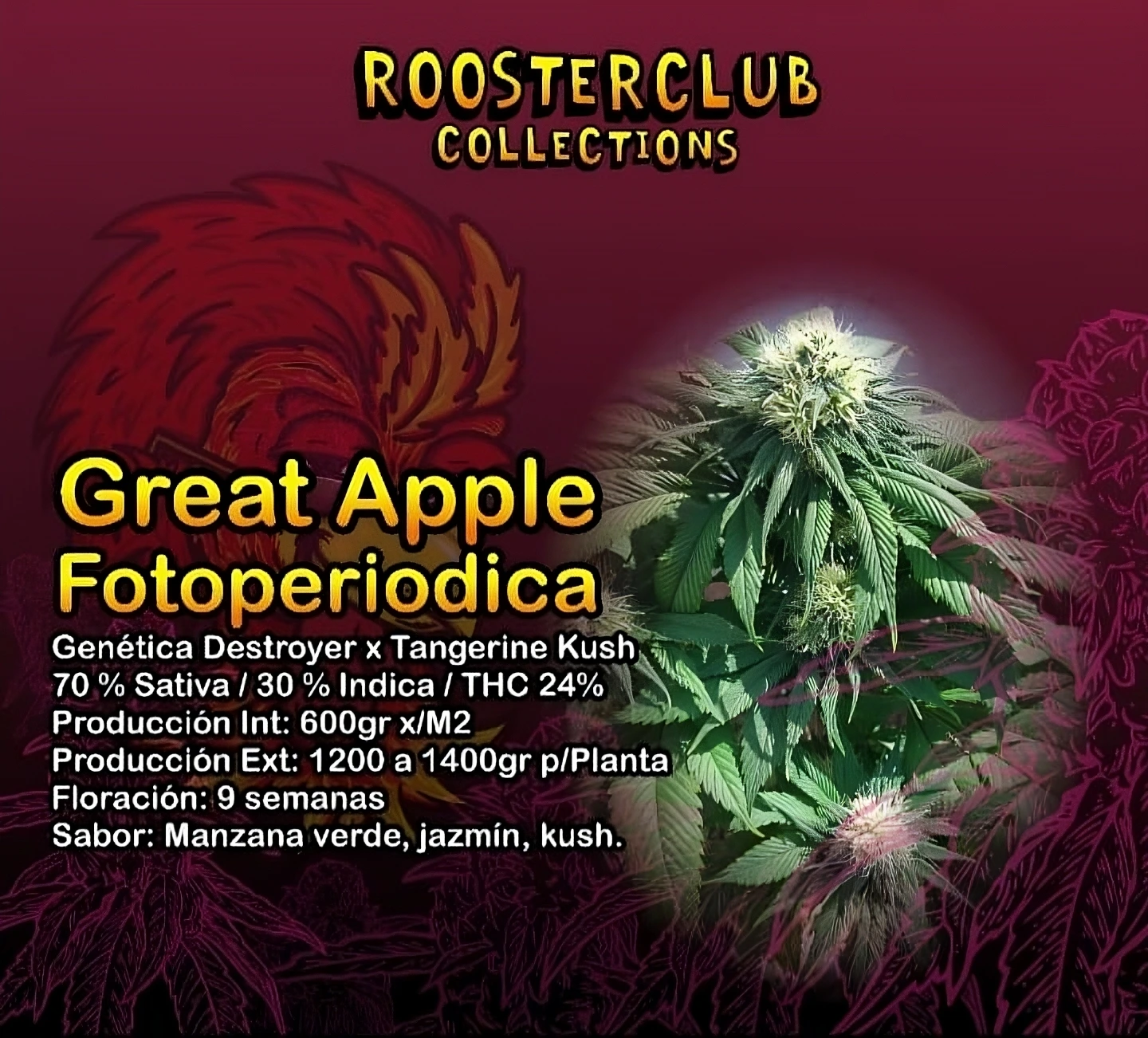GREAT APPLE X3 FOTOPERIÓDICA ROOSTER