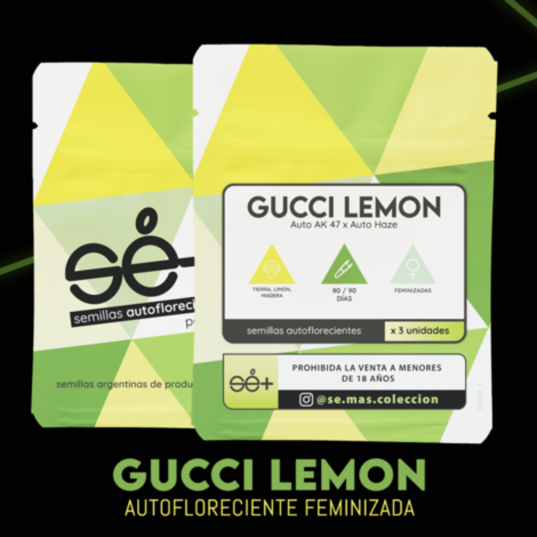 GUCCI LEMON X3 AUTOMÁTICAS SE+ COLECCION