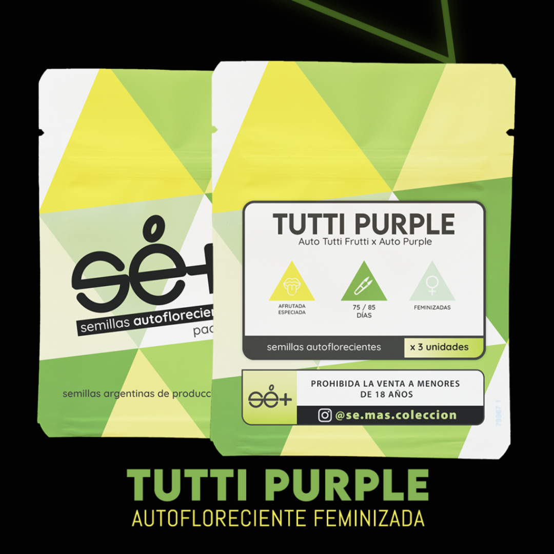 TUTTI PURPLE X3 AUTOMÁTICAS SE+ COLECCION