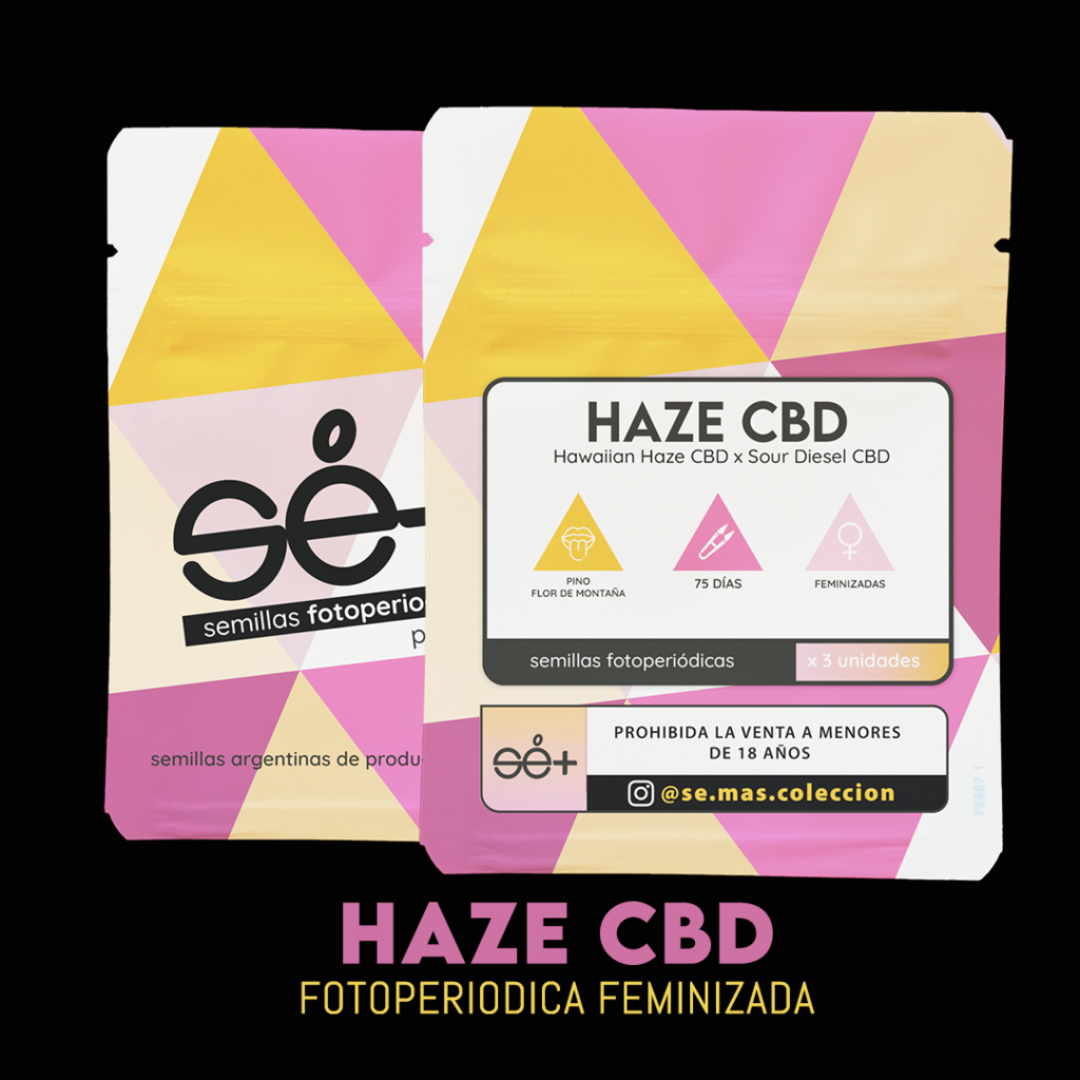 HAZE CBD X3 FOTOPERIÓDICAS SE+ COLECION