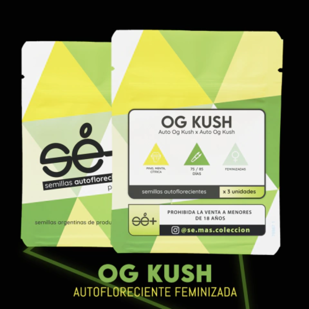 OG KUSH X3 AUTOMÁTICAS SE+ COLECCION