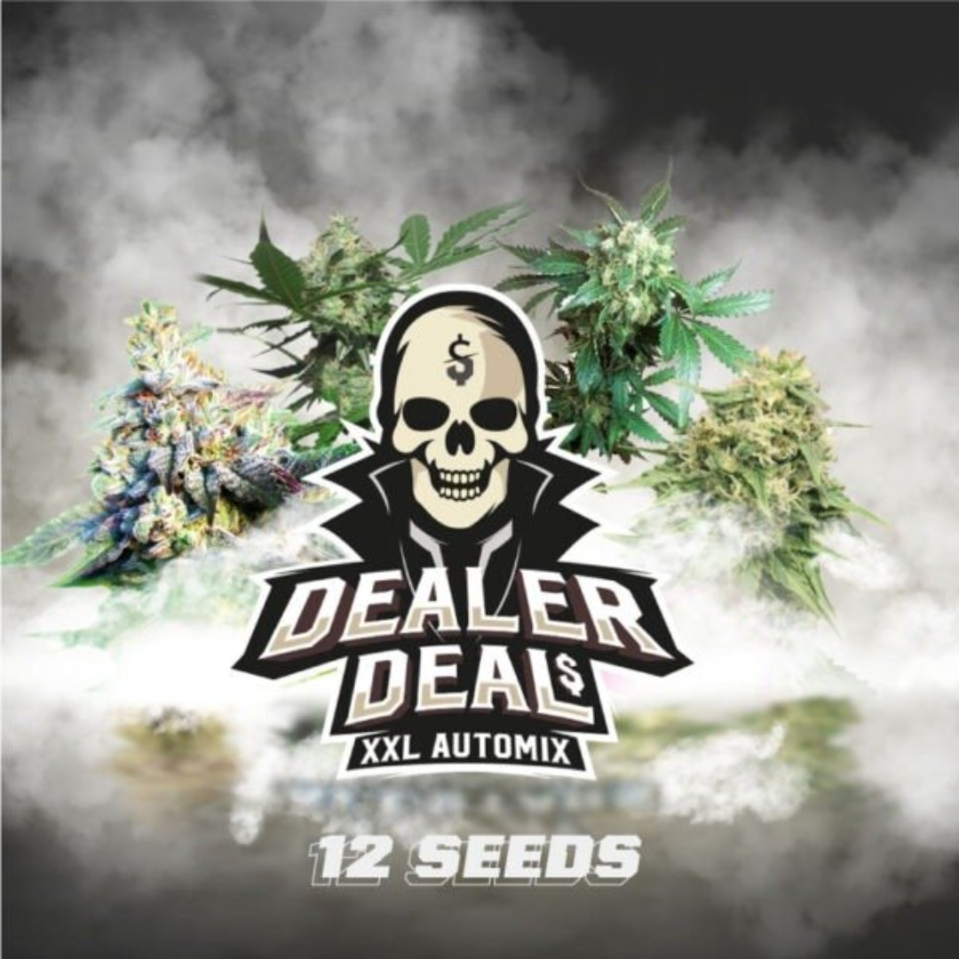 DEALER DEAL XXL X4 AUTOMIX BSF SEEDS