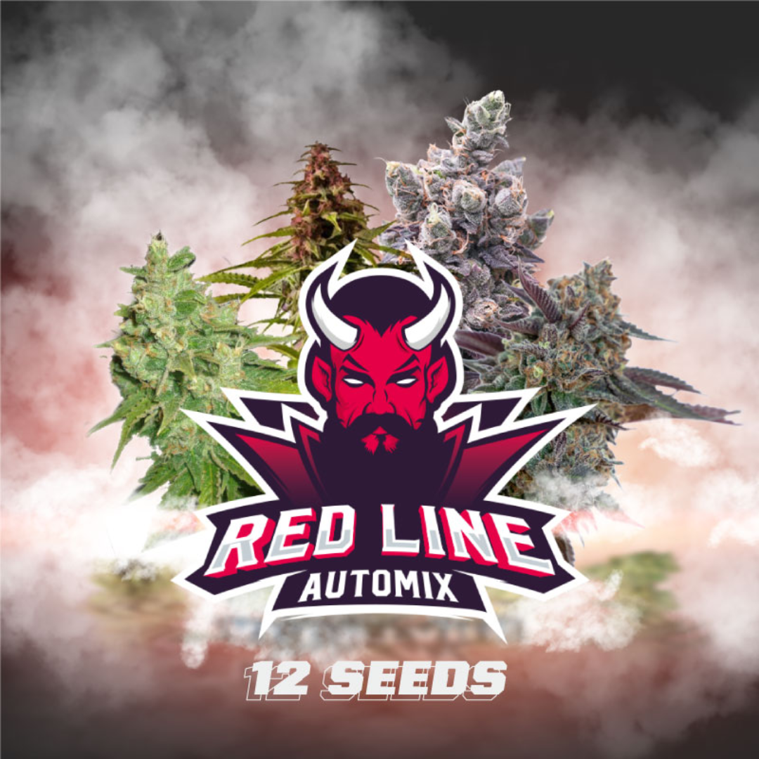 RED LINE X4 AUTOMIX BSF SEEDS