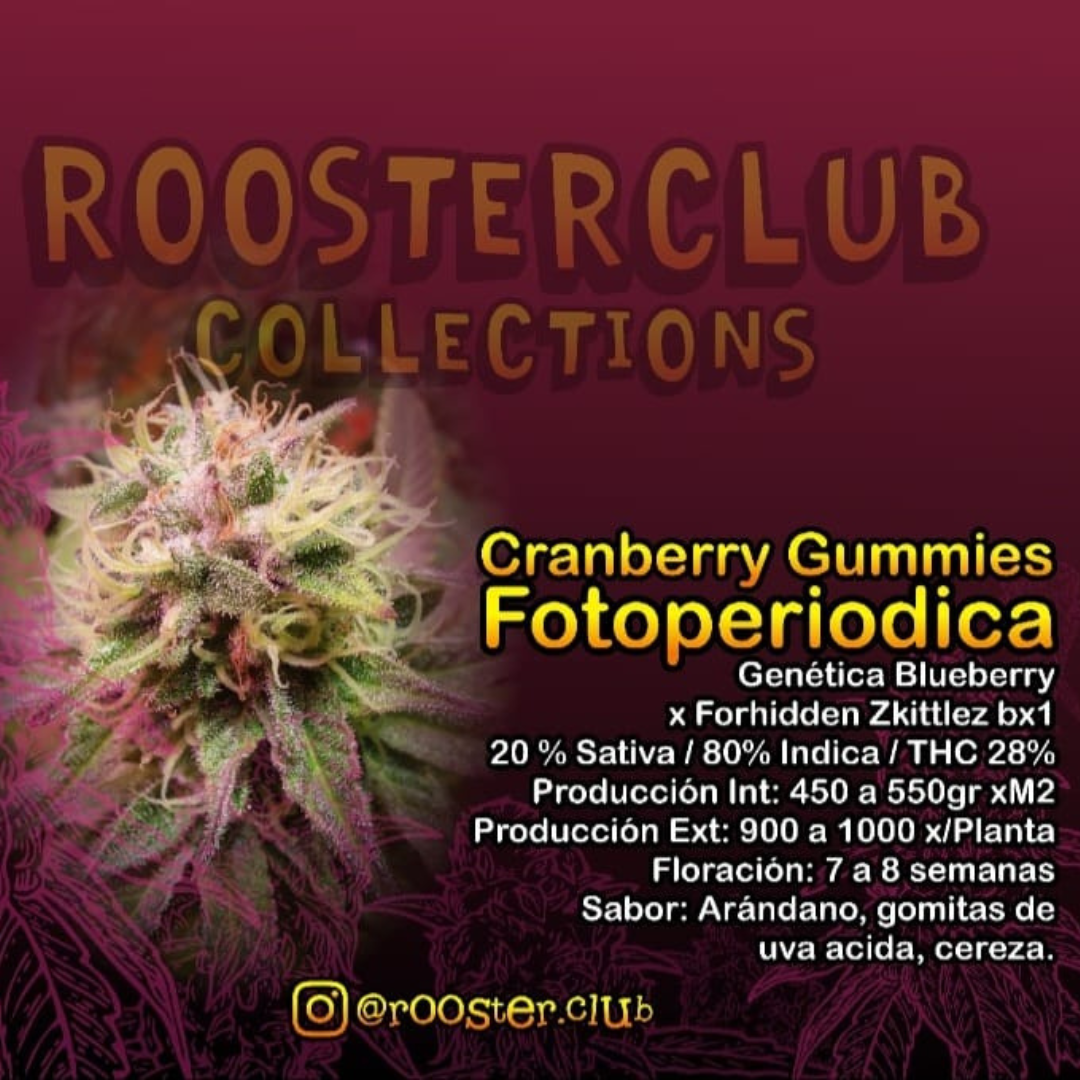 CRANBERRY GUMMIES X4 FOTOPERIODICA ROOSTER