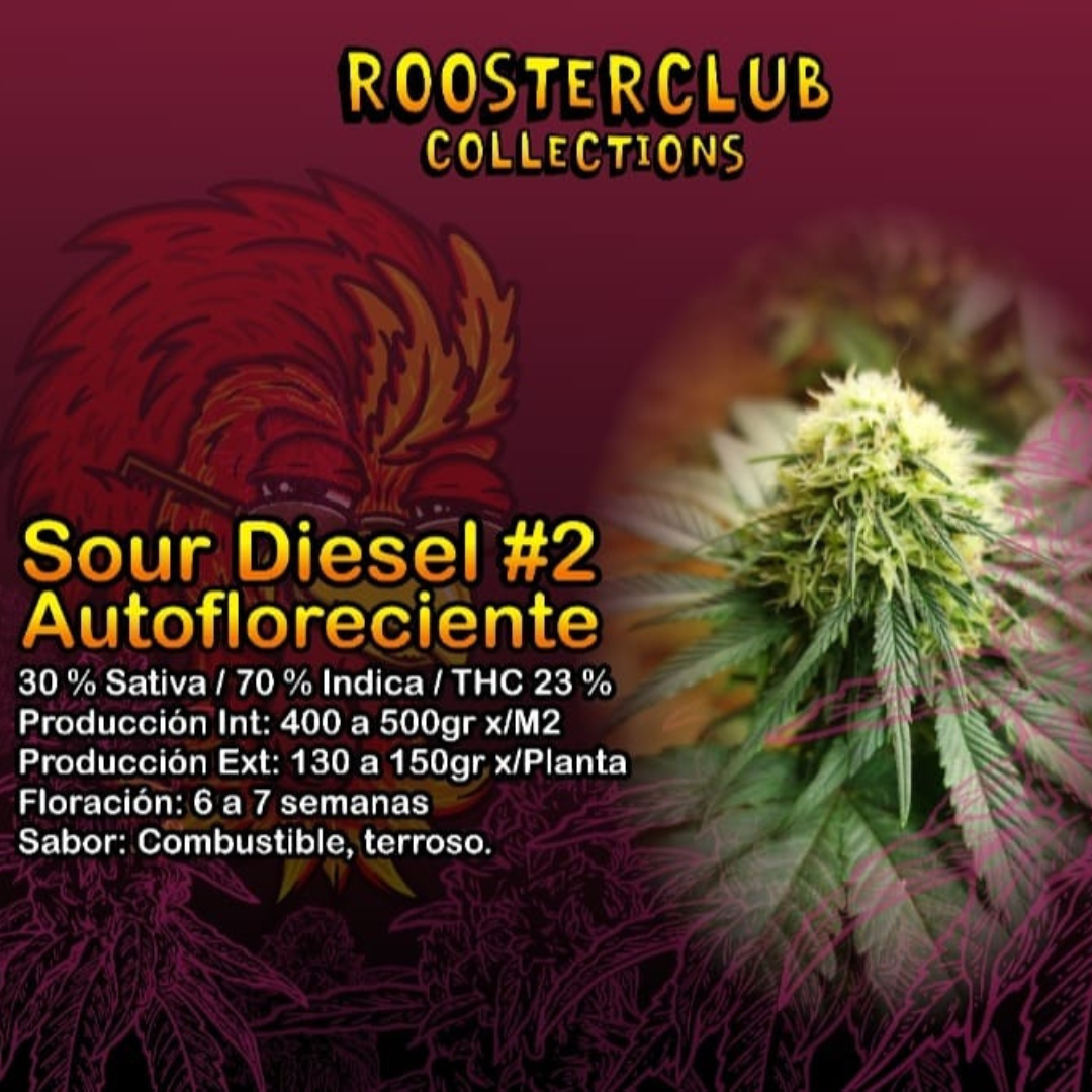 SOUR DIESEL #2 X3 AUTOMÁTICA ROOSTER