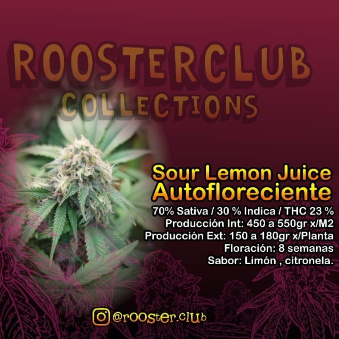 SOUR LEMON JUICE X3 AUTOMÁTICAS ROOSTER