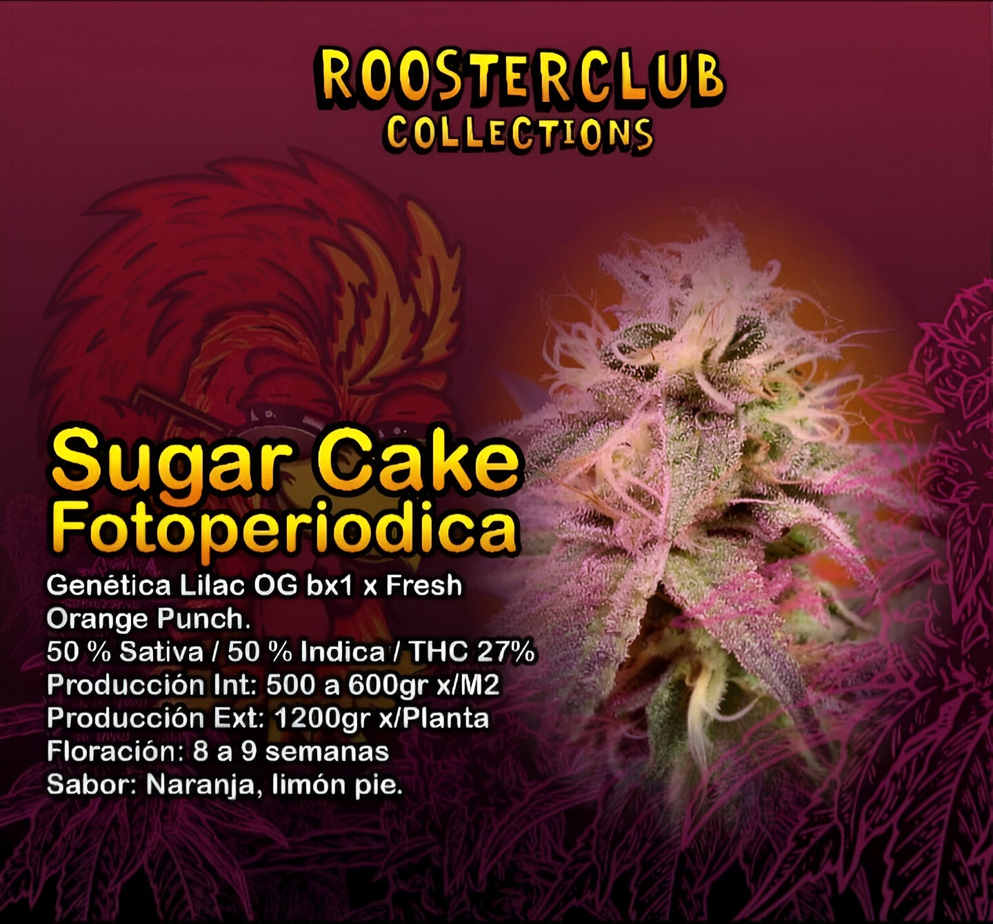 SUGAR CAKE X3 FOTOPERIÓDICA ROOSTER